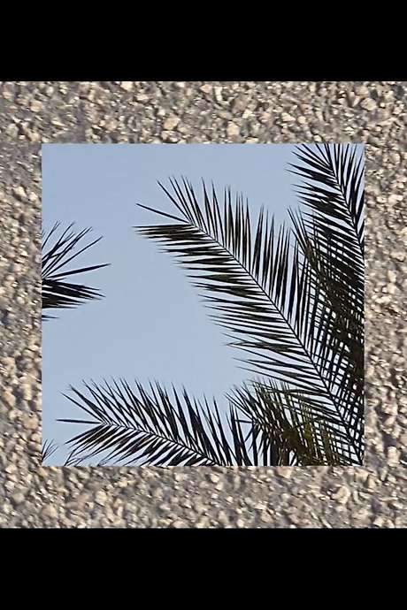 Not All Things that Shine Are Beautiful